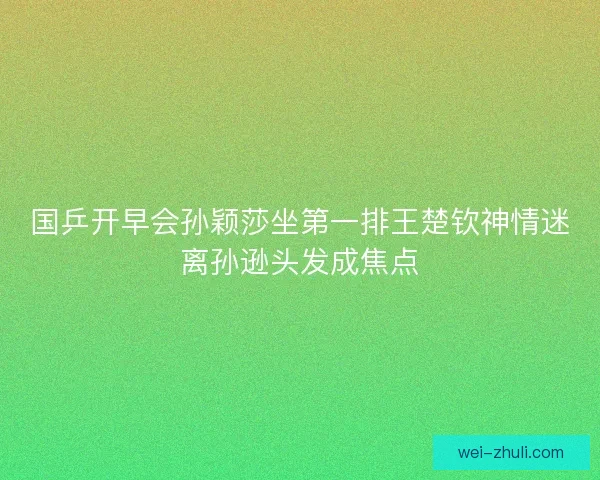 国乒开早会孙颖莎坐第一排王楚钦神情迷离孙逊头发成焦点