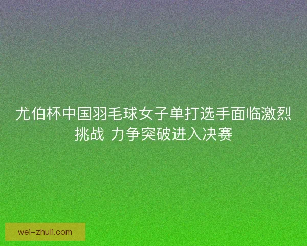 尤伯杯中国羽毛球女子单打选手面临激烈挑战 力争突破进入决赛