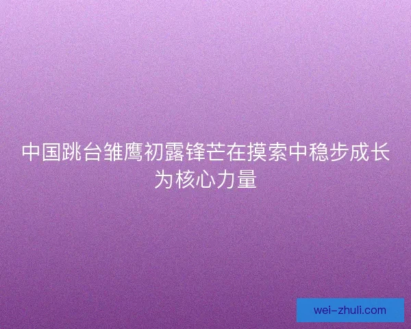 中国跳台雏鹰初露锋芒在摸索中稳步成长为核心力量