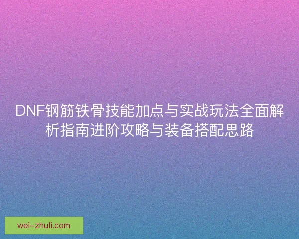 DNF钢筋铁骨技能加点与实战玩法全面解析指南进阶攻略与装备搭配思路