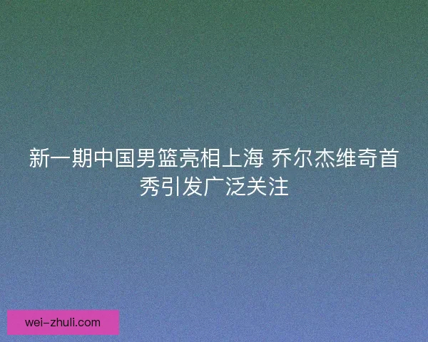 新一期中国男篮亮相上海 乔尔杰维奇首秀引发广泛关注 新一期中国男篮亮相上海 乔尔杰维奇首秀引发广泛关注