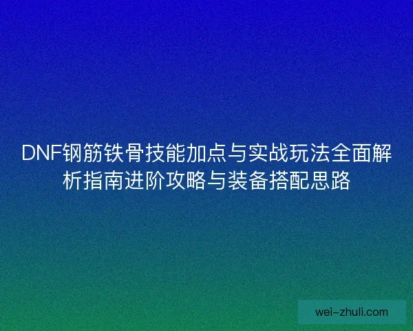 DNF钢筋铁骨技能加点与实战玩法全面解析指南进阶攻略与装备搭配思路