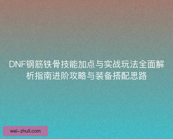 DNF钢筋铁骨技能加点与实战玩法全面解析指南进阶攻略与装备搭配思路